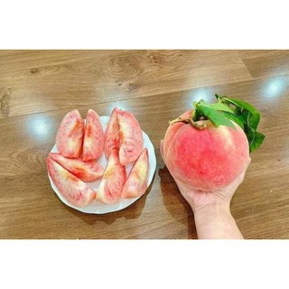 Đào tiên 1kg