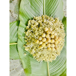 Cốm Già (cốm tươi) Hà Nội loại Cốm Dùng để làm Chả Cốm, Xúc Xích Cốm, Chè Cốm