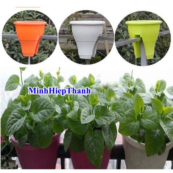 chậu kẹp lan can ban công đẹp