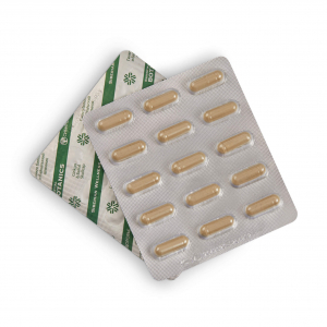 [ Hỗ trợ trí nhớ] Thực phẩm bảo vệ sức khỏe Essential Botanics Ginkgo & Baikal skullcap – 30 viên/lọ