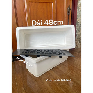 { 3 Cái } Máng Trồng Rau Thông Minh Loại Dày 48x20 Màu Trắng Và Đen