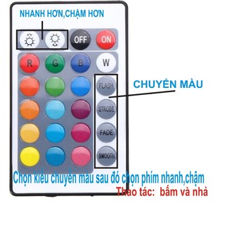 Tranh điện phật giáo đèn led :  Phật A Di Đà Đứng , đổi màu tự động ,  nhiều kích thước