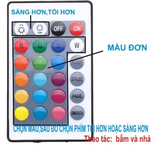 Tranh điện phật giáo đèn led :  Phật A Di Đà Đứng , đổi màu tự động ,  nhiều kích thước