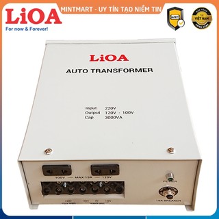 Biến áp đổi nguồn lioa 3000va dn030 - bộ đổi nguồn lioa 3000va từ 220v sang 100v/120v