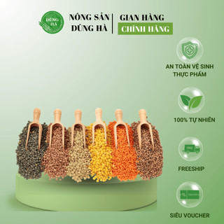 ĐẬU LĂNG các loại hỗ trợ cải thiện hệ thống tiêu hóa