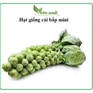 Hạt Giống Cải Bắp tí hon Xanh (bắp cải mini) 100 hạt