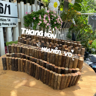 Thang uốn gỗ NGUYÊN VỎ, trang trí chuồng hamster, sóc, bọ, nhím, thú nhỏ