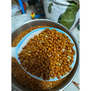 KÊ BÓNG ĐỎ HẠT TO