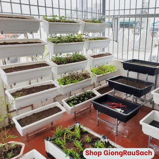 Kệ trồng rau sạch bậc thang 5 tầng thông minh giá bán chưa gồm chậu hoangtho87
