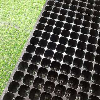 5 Khay ươm hạt 200 lỗ loại 2 ươm ớt cà chua bấp cải rau
