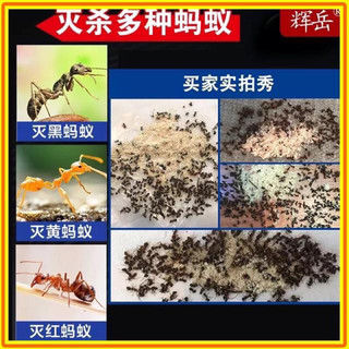 Thuốc diệt kiến gián tận gốc