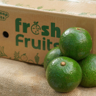 Bơ Booth Đắk Lắk Dẻo, Thơm - Thùng 3kg - FoodMap Fruits