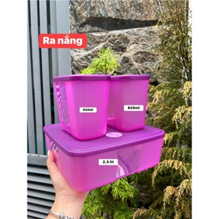 Hộp trữ đông Tupperware, 820ml và 2,3L, đông đồng hồ, Màu Tím Ngọt ngào, hàng TUP  Malay, Nhựa nguyên sinh
