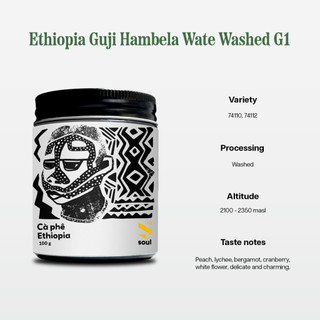 Cà phê nước ngoài | ethiopia guji hambela wate washed g1 - pha dụng cụ