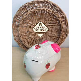 Heo đất pé Dâu size M ( 18x10x13 )