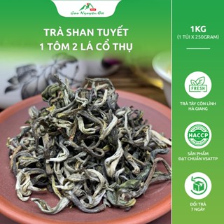 Trà Shan Tuyết Cổ Thụ Hà Giang Loại 1 Tôm 2 Lá - Tây Côn Lĩnh - Hà Giang