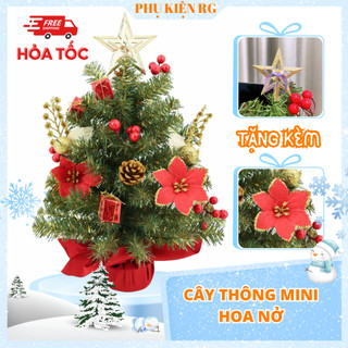 Cây thông Noel mini nở hoa màu xanh vàng cây thông giáng sinh để bàn trang trí đẹp lung linh
