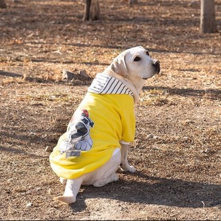 Áo Hoodie Vàng Hình Chó Pug Nón Sọc chất liệu thun co giãn cao cấp, màu vàng - SP000597