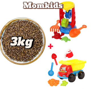 Combo đồ chơi xúc cát hạt muồng cho bé gồm 3kg hạt kèm guồng cát và ô tô