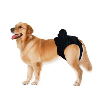 QUẦN TẢ CHO CHÓ CỠ LỚN TRÊN 10KG GIAO MÀU NGẪU NHIÊN