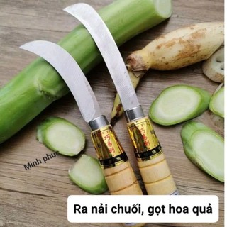 Dao ra nải chuối, gọt hoa quả lưỡi cong, 2 kích thước