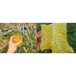 1 LÍT Mật ong HOA BẠC HÀ nguyên chất 100% - Khai thác tự nhiên tại Cao Nguyên HÀ GIANG - loại Đặc biệt