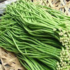 Hạt giống Đậu ( Đỗ ) Đũa Cao Sản Quả Dài 100gram, Kháng bệnh tốt
