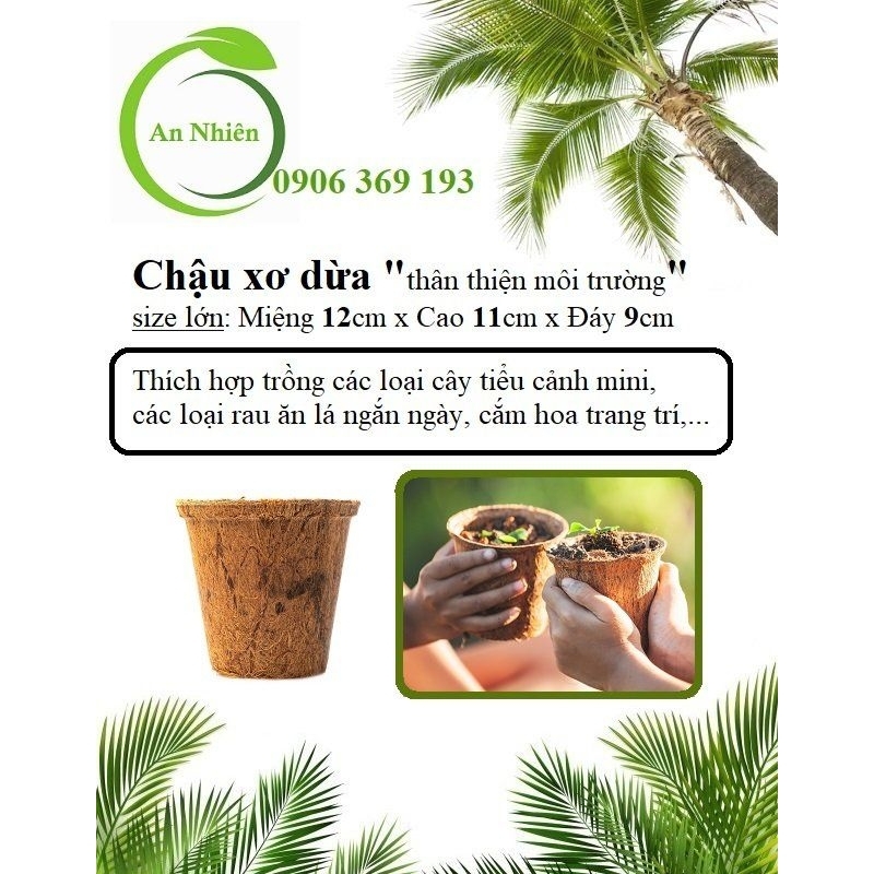Chậu xơ dừa - Miệng 12cm