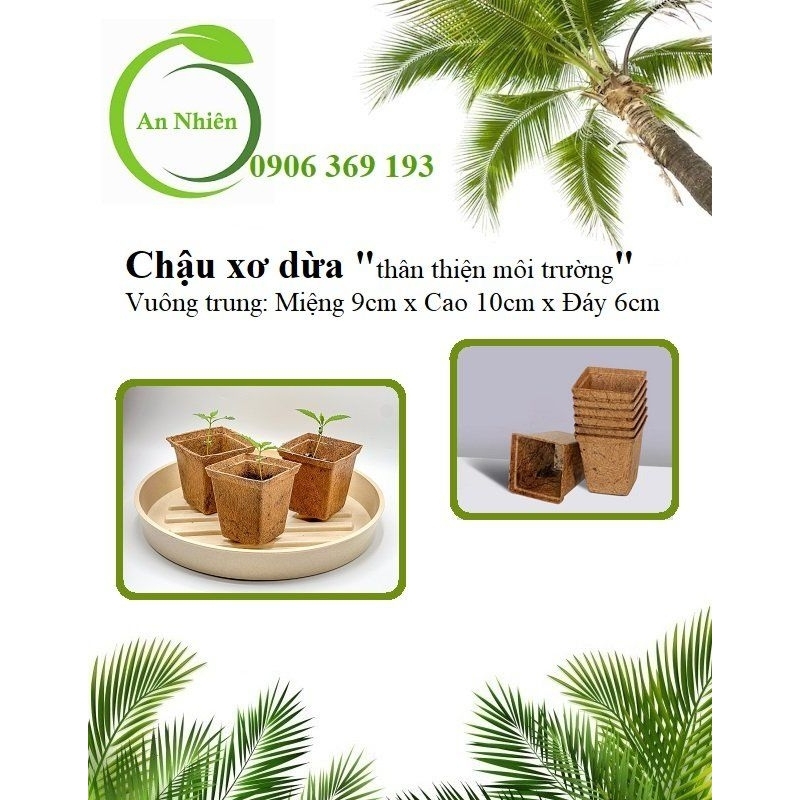 Chậu xơ dừa vuông trung