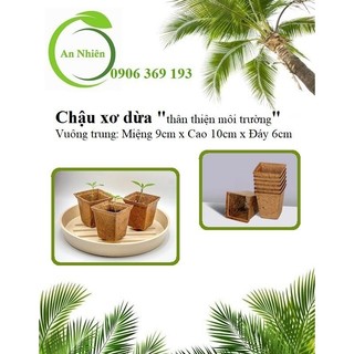 Chậu xơ dừa vuông trung