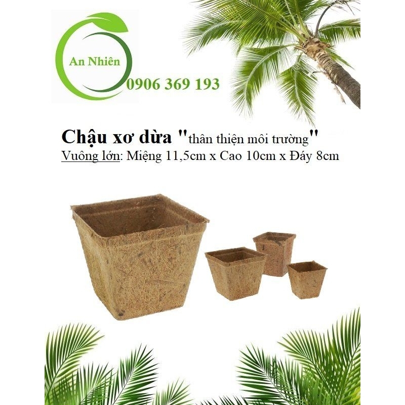 Chậu xơ dừa vuông lớn