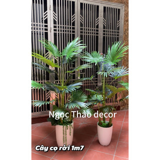 Cây cọ rời 1m7 giả, cây giả trang trí, cây hoa giả, decor phòng