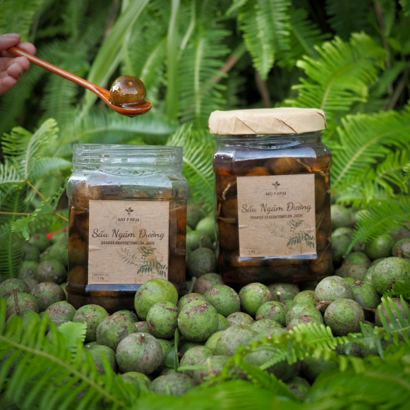  Sấu ngâm đường gừng chua ngọt Mơ Farm hộp 1kg- Đặc sản miền Bắc 