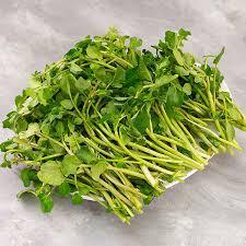 Hạt Giống Rau Cải Xoong ( cải Xong) trồng tại vườn, sân thượng, nông trang