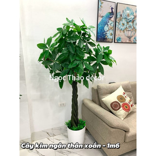 Cây kim ngân thân xoắn cao 1m6 giả, cây hoa giả trang trí
