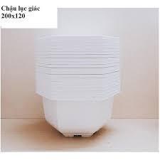 10 Chậu Nhựa Lục Giác Trồng Hoa, Cây Cảnh Bonsai 200x120 - Màu Trắng -Chậu được thiết kế tiện lợi