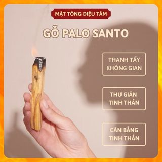 Gỗ Trắc Xanh Palo Santo đốt thơm nhà xô thơm thanh tẩy nhà cửa
