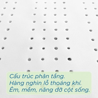 Nệm Ép Dẻo ACB, Mềm Mại Êm Ái Nâng Đỡ Cột Sống Nhiều Lỗ Thông Hơi Bảo Hành 10 Năm