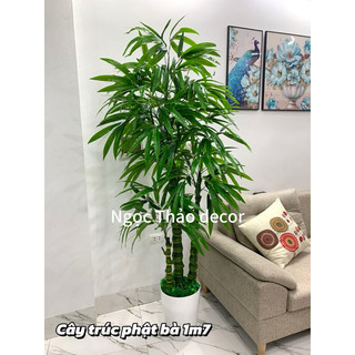 Cây trúc phật bà 1m7 giả, cây giả trang trí