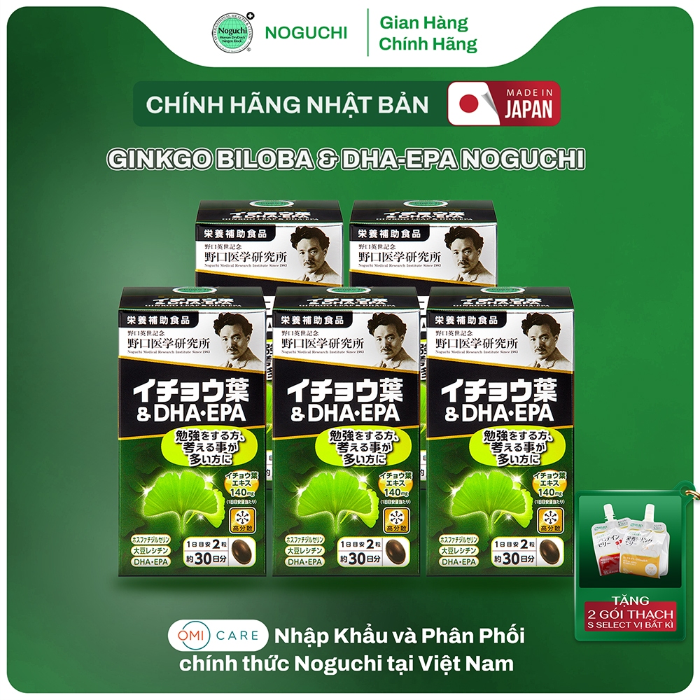 Combo 5 Hộp Viên Uống Bổ Não DHA EPA Ginkgo Noguchi Nhật Bản Bổ Não Tăng Tuần Hoàn Máu Não (Hộp 60 V