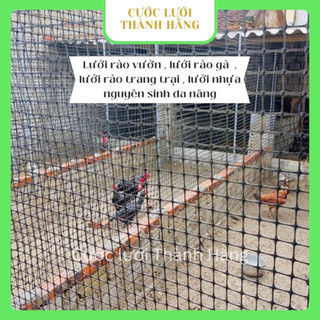  Lưới Nhựa Dẻo Nguyên Sinh Loại 2 Lỗ 35mm  Lưới rào vườn trang trại  Lưới rào gà vịt   Tặng kèm 50 dây rút   