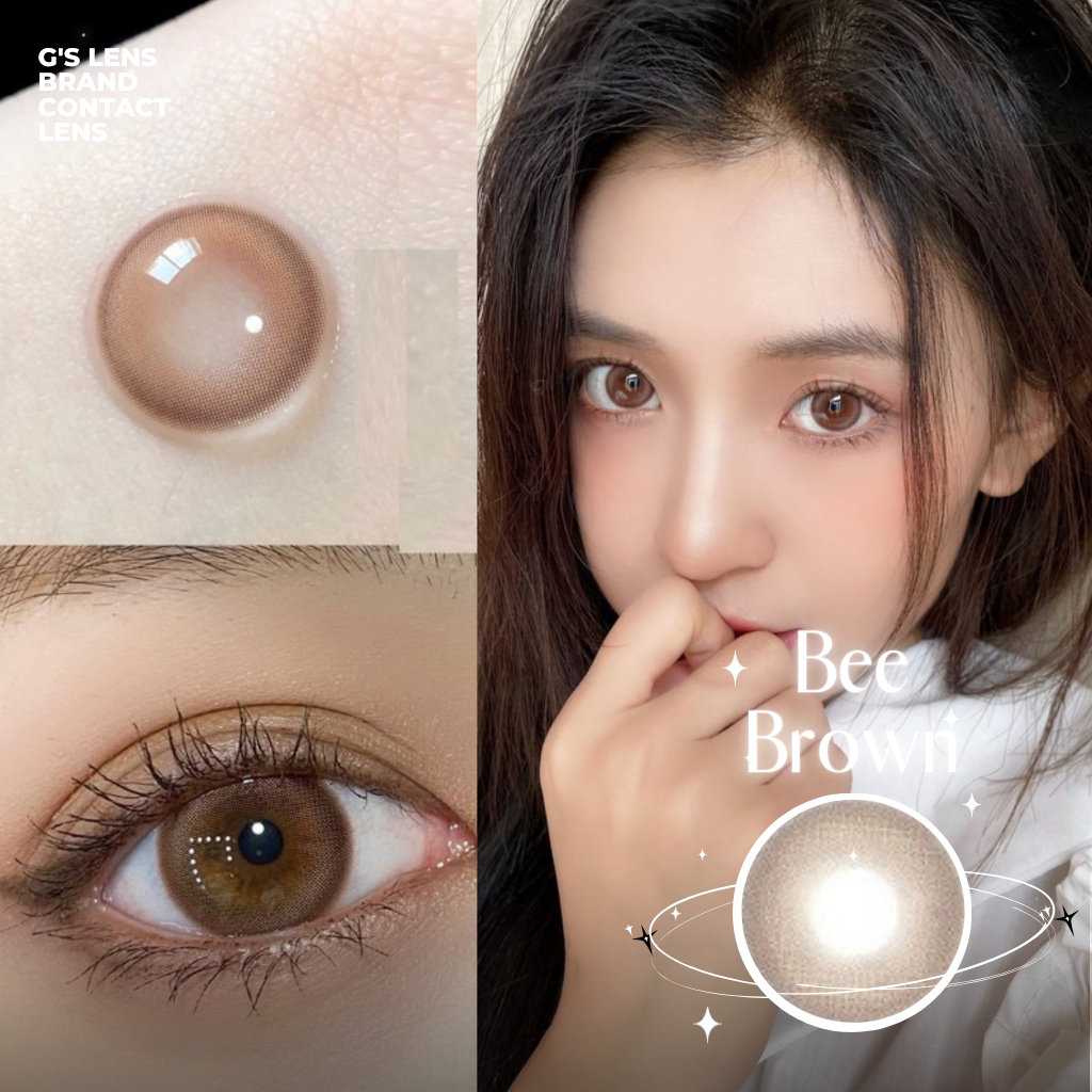 Kính áp tròng Gtrendy BEE BROWN nâu sáng filter douyin lens cận 6 tháng G.DIA 14.2mm có độ (0-8)
