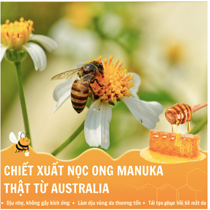 Kem Hbesty Bôi Tổ Đỉa, Mụn Nước - Kem Hbesty Giúp Giảm Ngứa, Sưng, Tổ Đỉa, Mụn Nước và Dưỡng Da Khỏe Mạnh