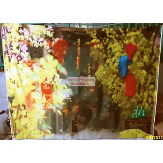 Vải phông nền chụp ảnh 3D size 50x75cm cảnh trang trí tết tươi mới - cho một cái Tết trọn vẹn FG21