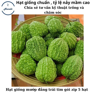 Hạt giống mướp đắng trái tim