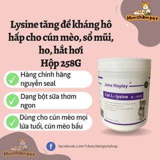 Lysine tăng đề kháng, phòng hô hấp chảy nước mắt chó mèo