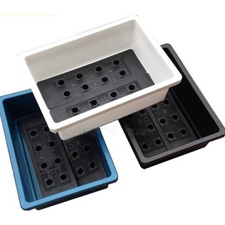 Combo 5 khay trồng rau sạch màu xanh kích thước dài 48cm x rộng 34cm x cao 15cm