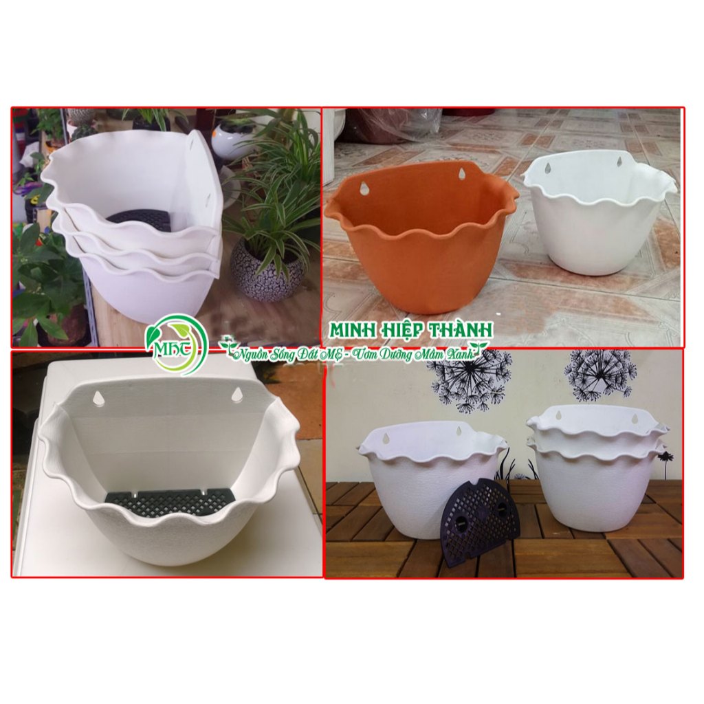 Chậu ốp tường viền tim