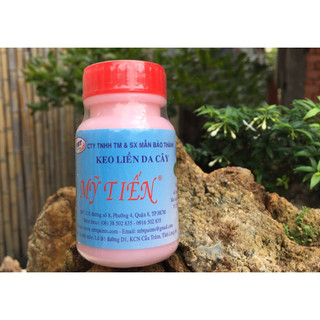 Keo liền da cây mỹ tiến