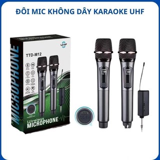 Bộ 2 micro karaoke, Mic hát karaoke chuyên nghiệp